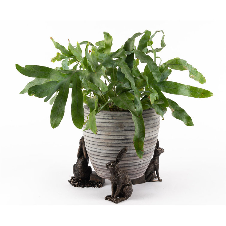 Brambly Cottage Lucienne Planter Feet Wayfair.co.uk